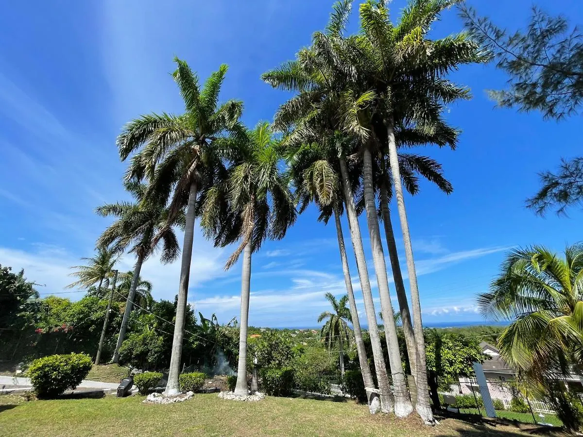 Hotel Peaceful Palms Montego Bay Jamaïque